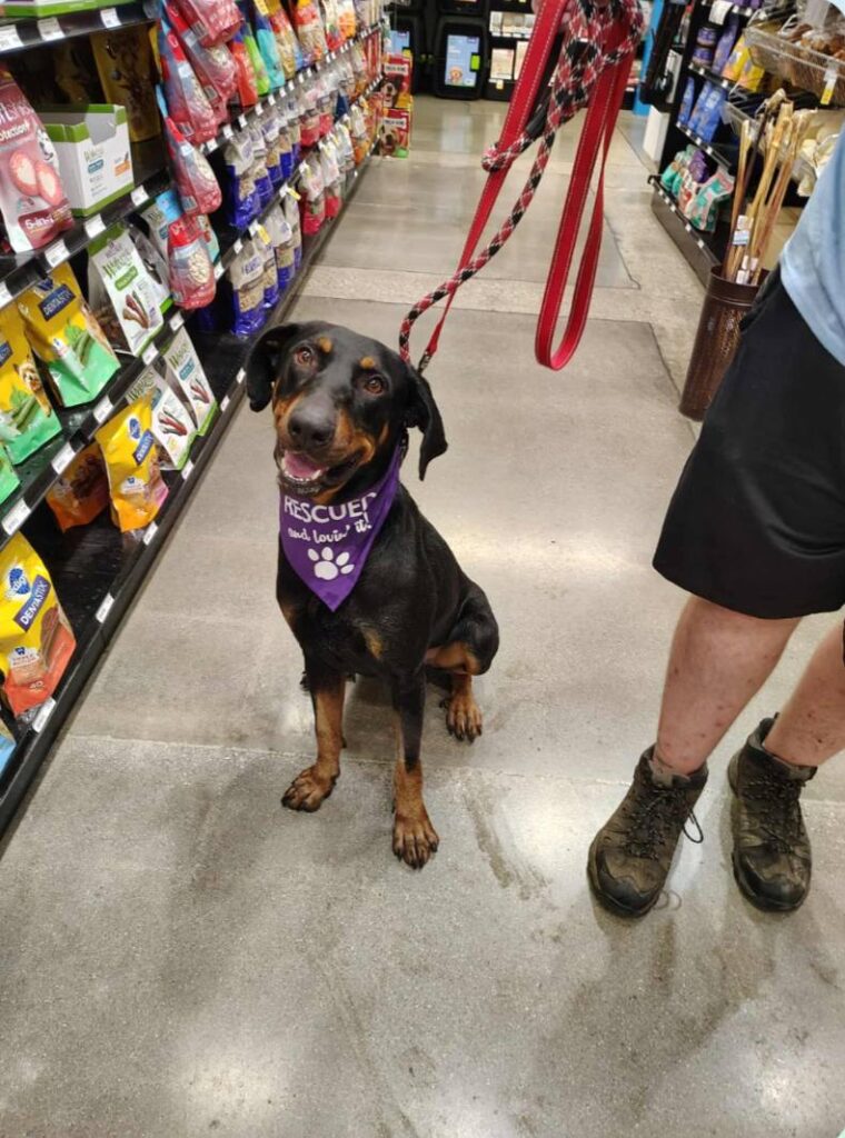 Adoptable