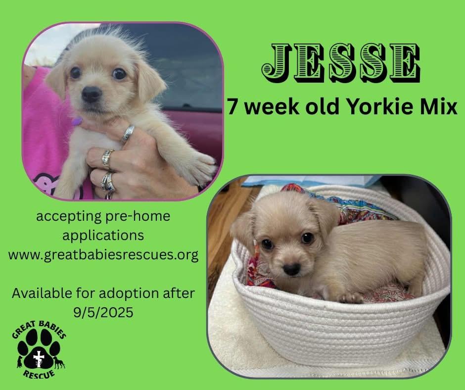 Adoptable
