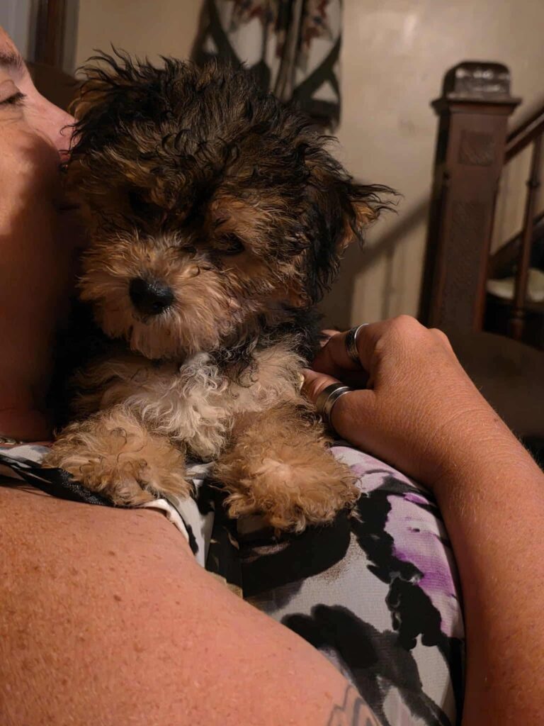 Adoptable