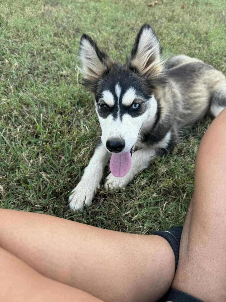 Adoptable